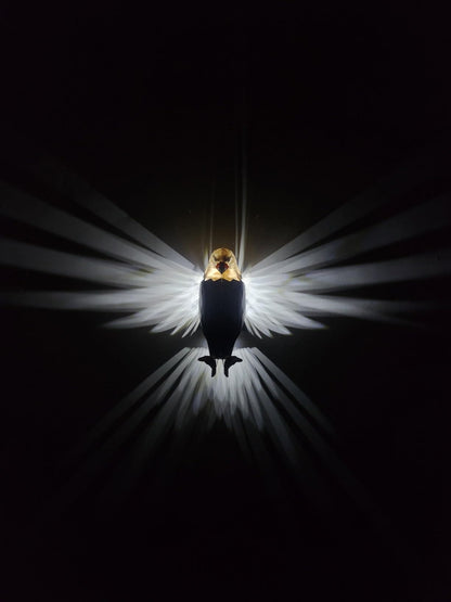 3D  Acrylic Eagle Magic Lamp